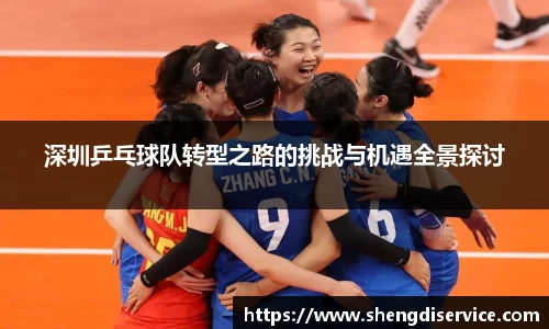 深圳乒乓球队转型之路的挑战与机遇全景探讨